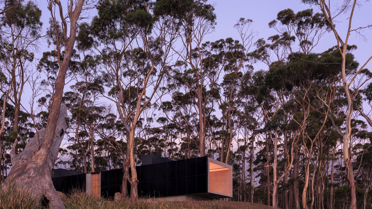 Photo of Others in Apollo Bay