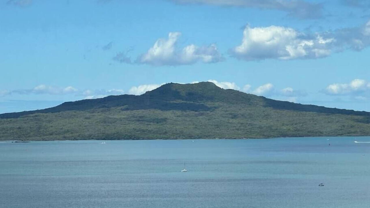 Photo of Others in Takapuna