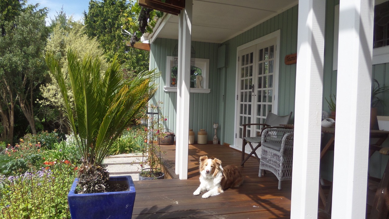 Photo of Patio Balcony in Enfield