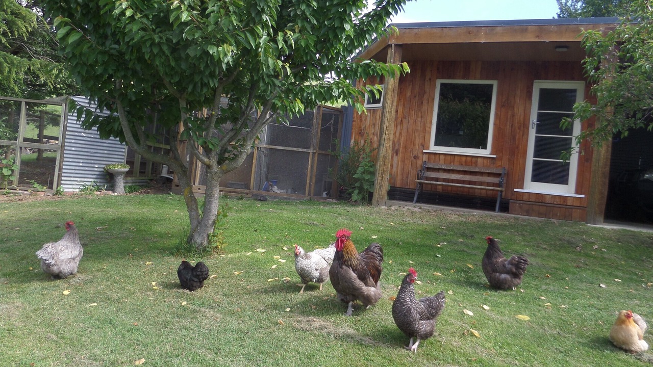 Photo of Outdoor in Enfield