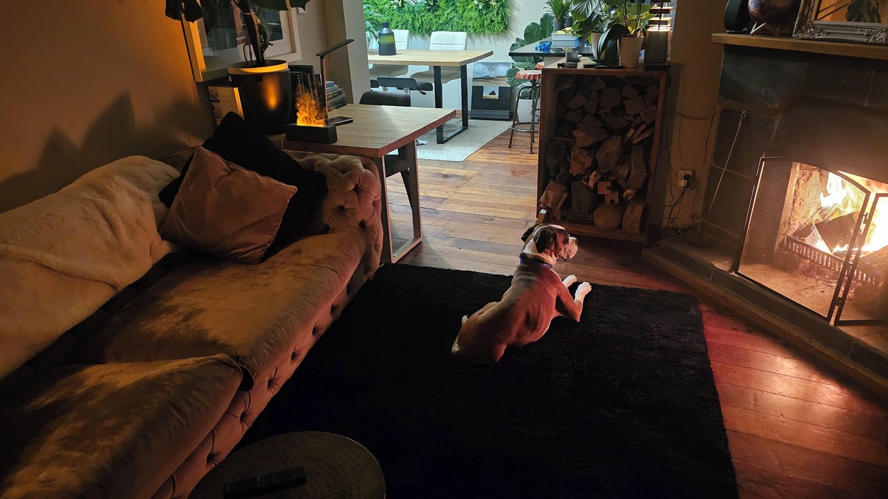 Photo of Livingroom in Wellington