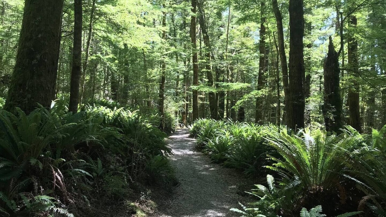 Photo of Others in Te Anau