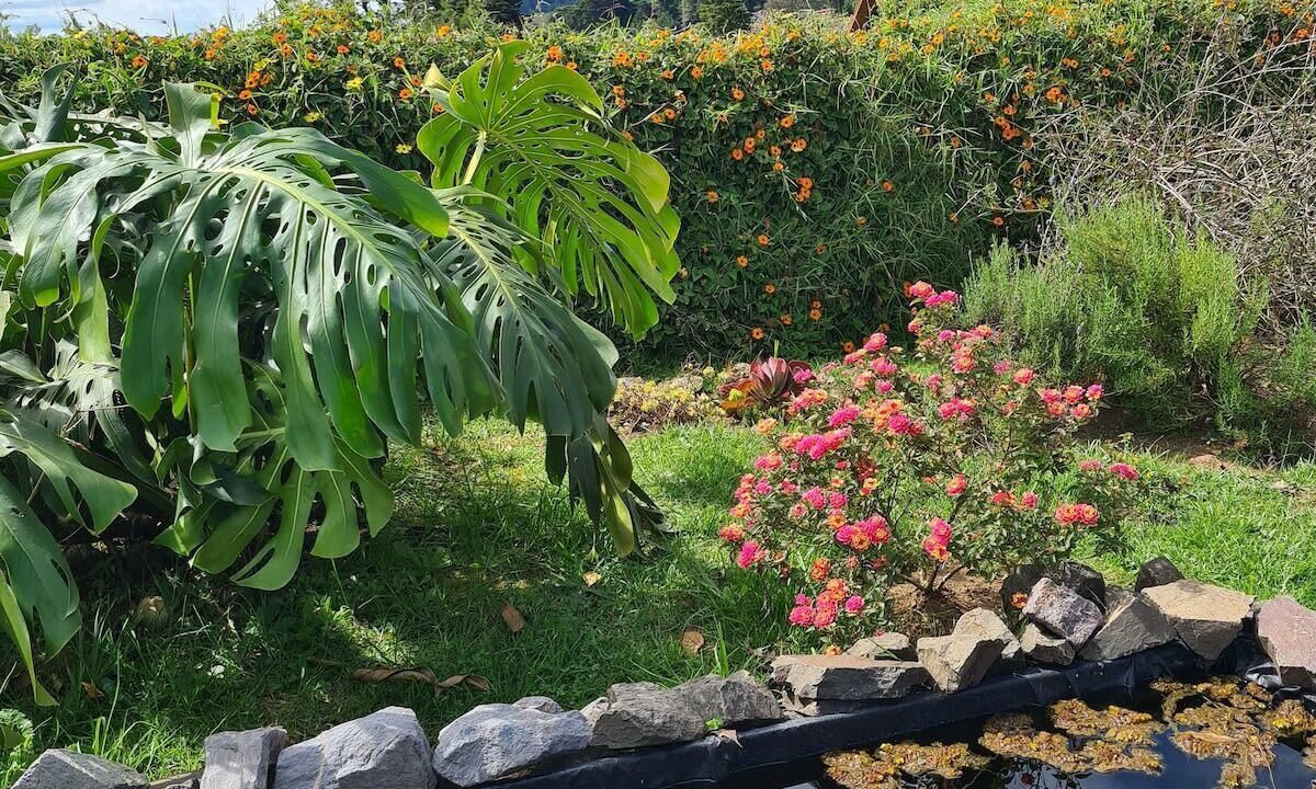 Photo of Outdoor in San Isidro