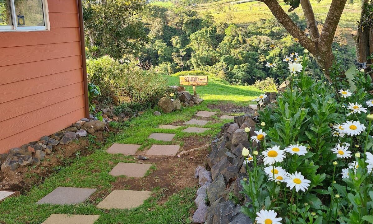 Photo of Outdoor in San Isidro
