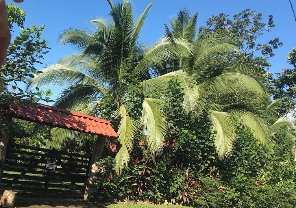 Photo of Outdoor in Horquetas