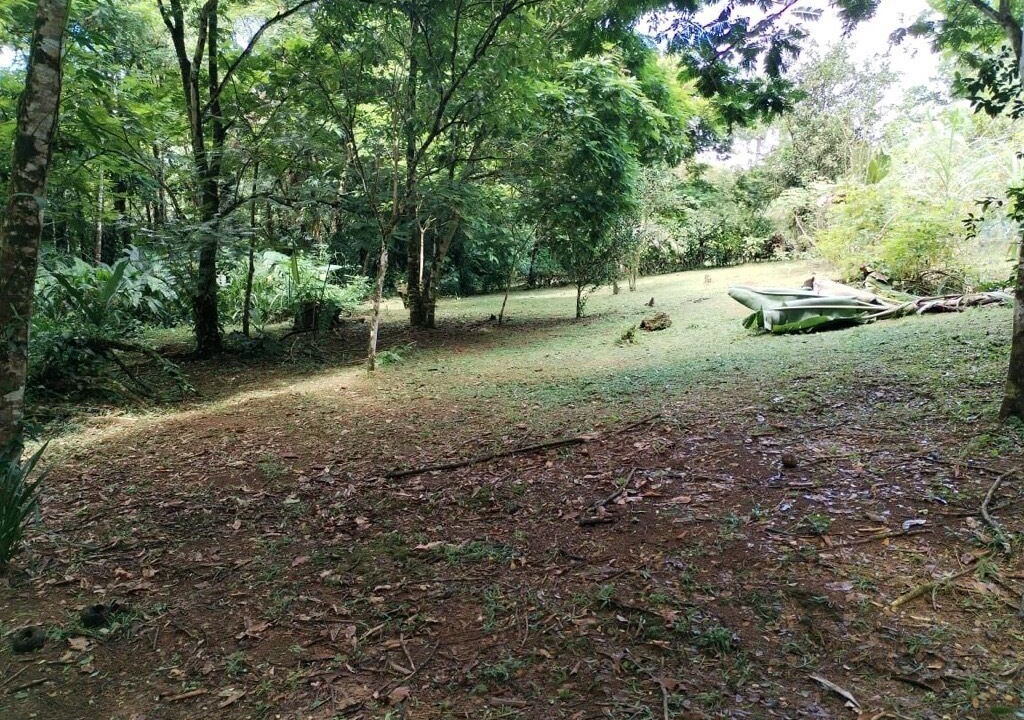 Photo of Outdoor in Horquetas