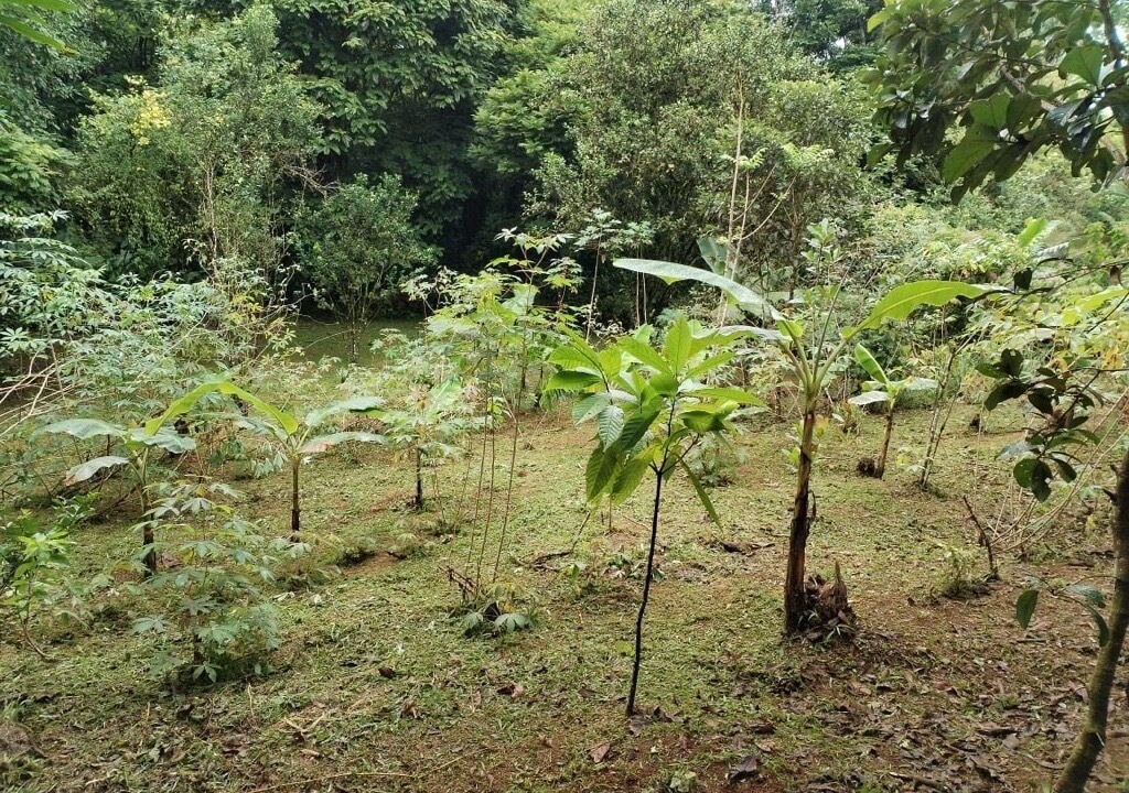 Photo of Outdoor in Horquetas