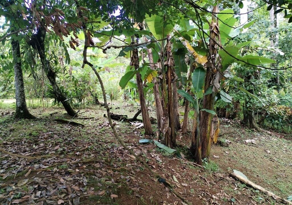 Photo of Outdoor in Horquetas