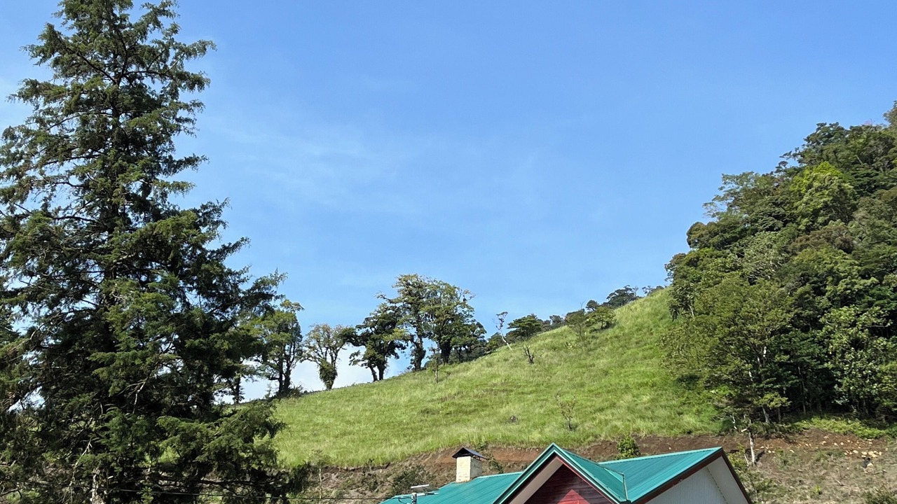 Photo of Outdoor in Toro Amarillo
