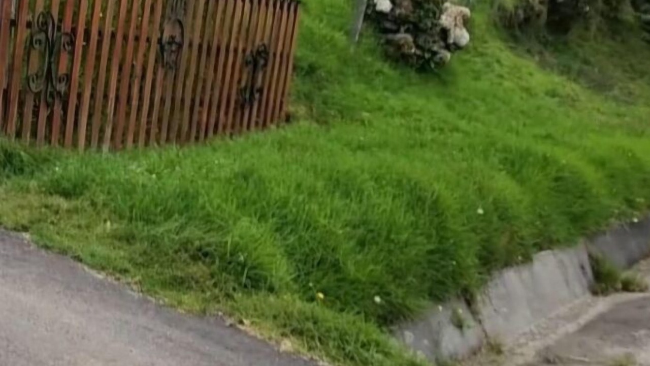Photo of Outdoor in Canton Dota