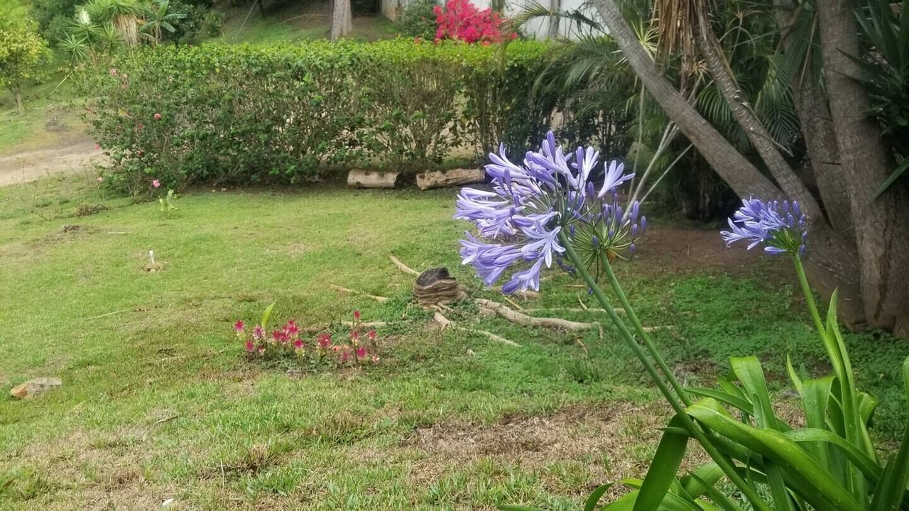Photo of Outdoor in San Miguel