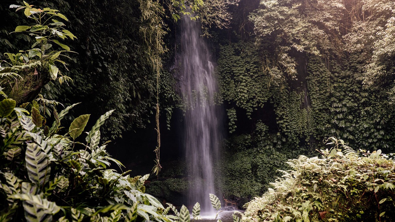 Photo of Others in Wanagiri