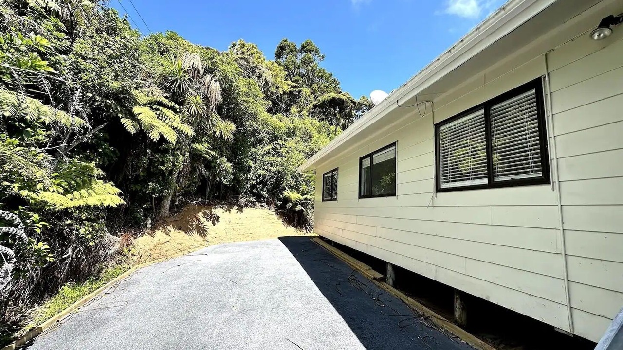 Photo of Outdoor in Piha