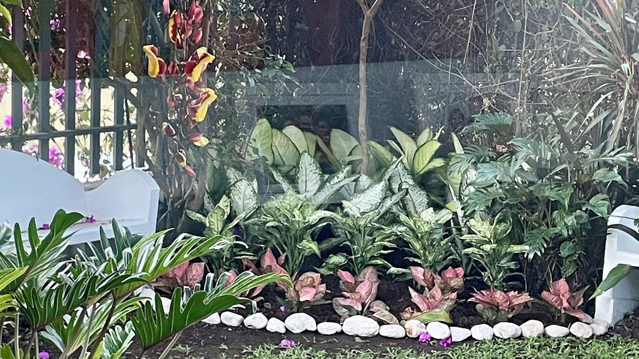 Photo of Outdoor in Heredia