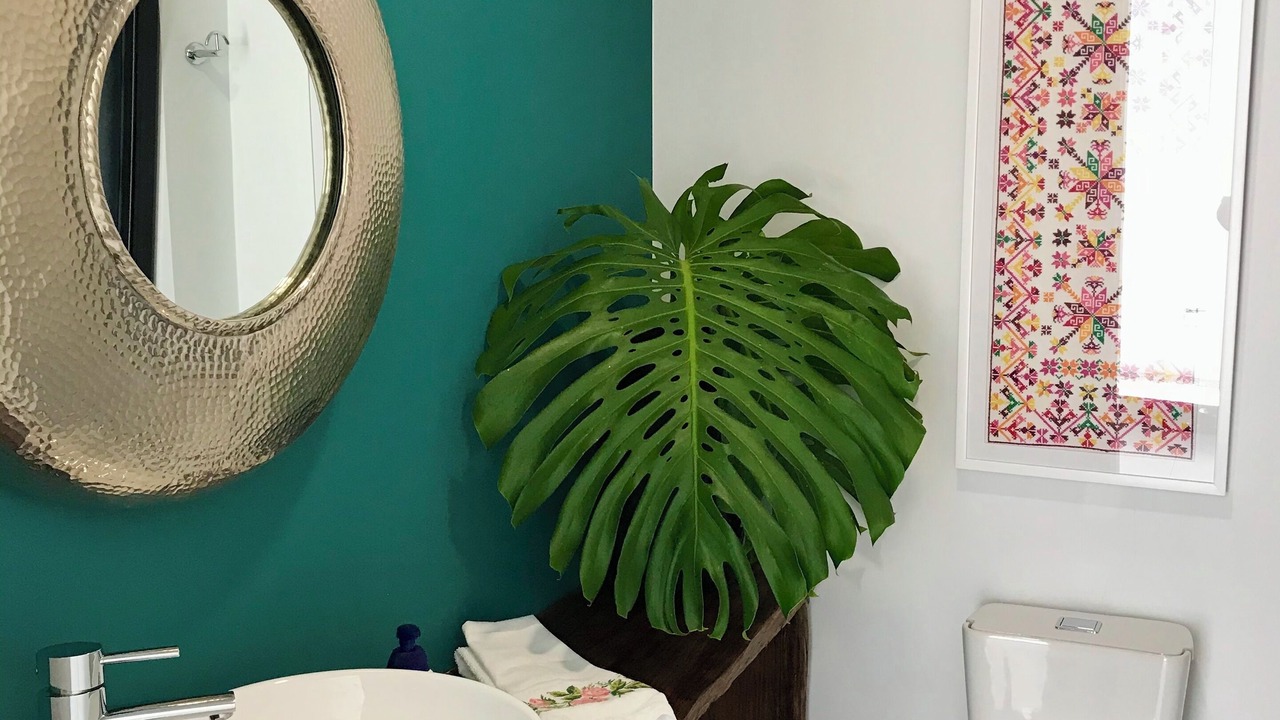 Photo of Bathroom in Heredia