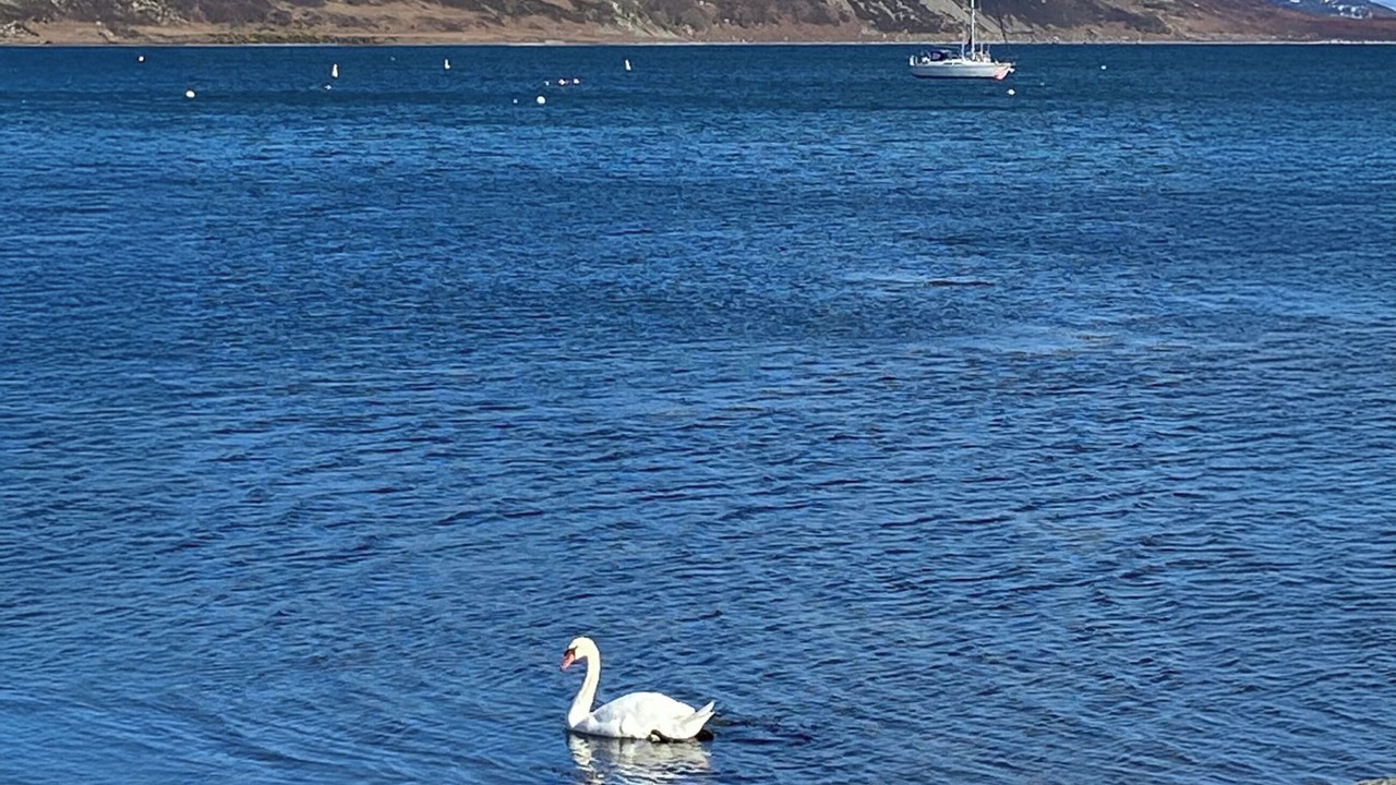 Photo of Others in Lamlash