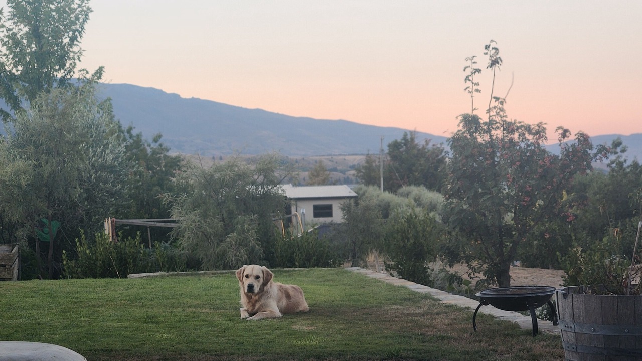 Photo of Outdoor in Bannockburn