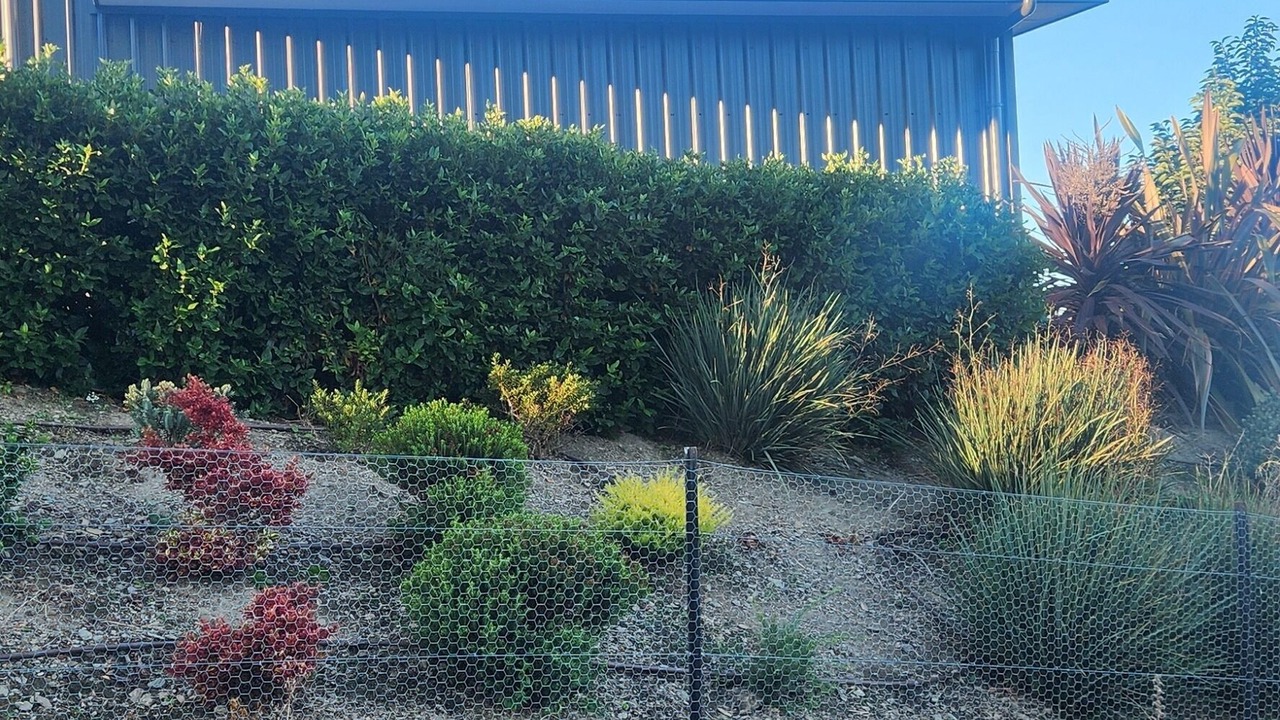 Photo of Outdoor in Bannockburn