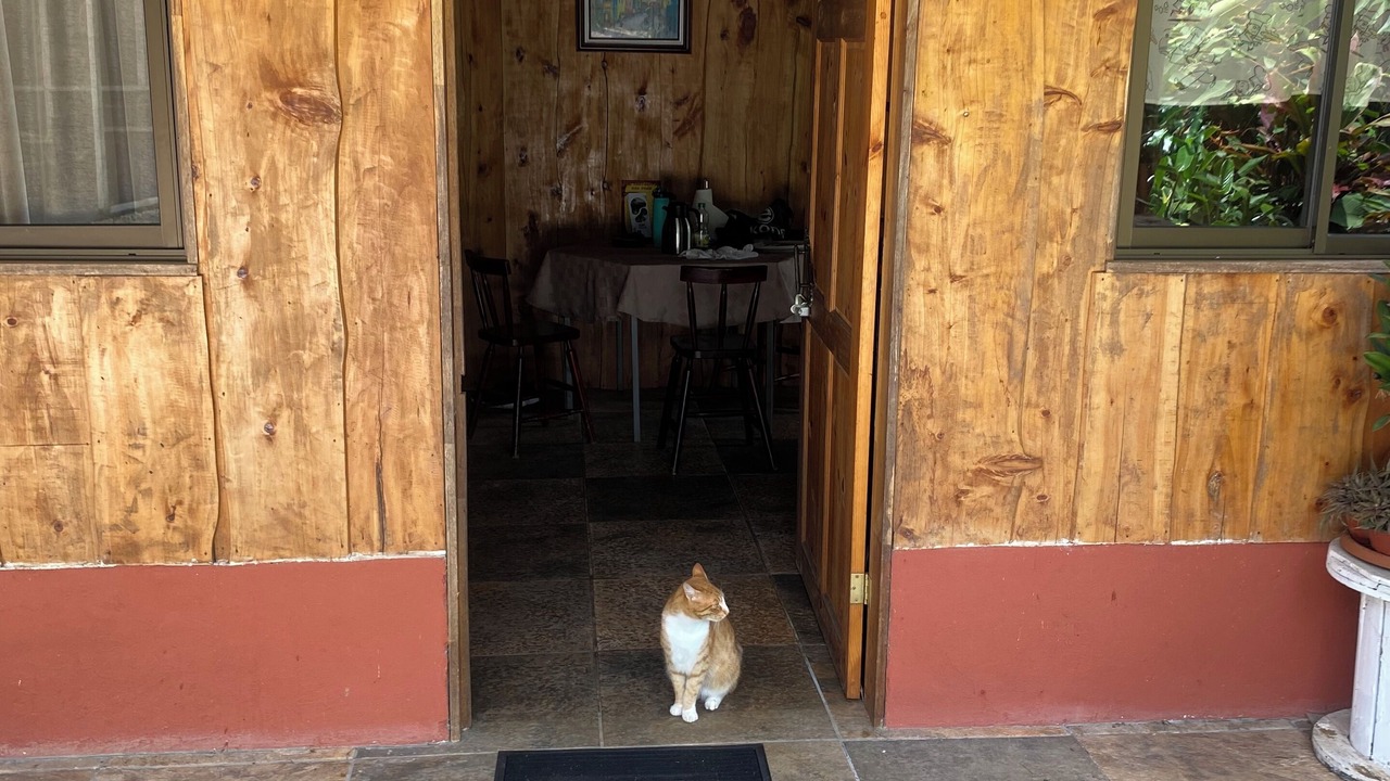 Photo of Outdoor in Carmen