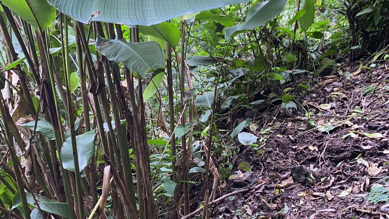 Photo of Outdoor in Carmen