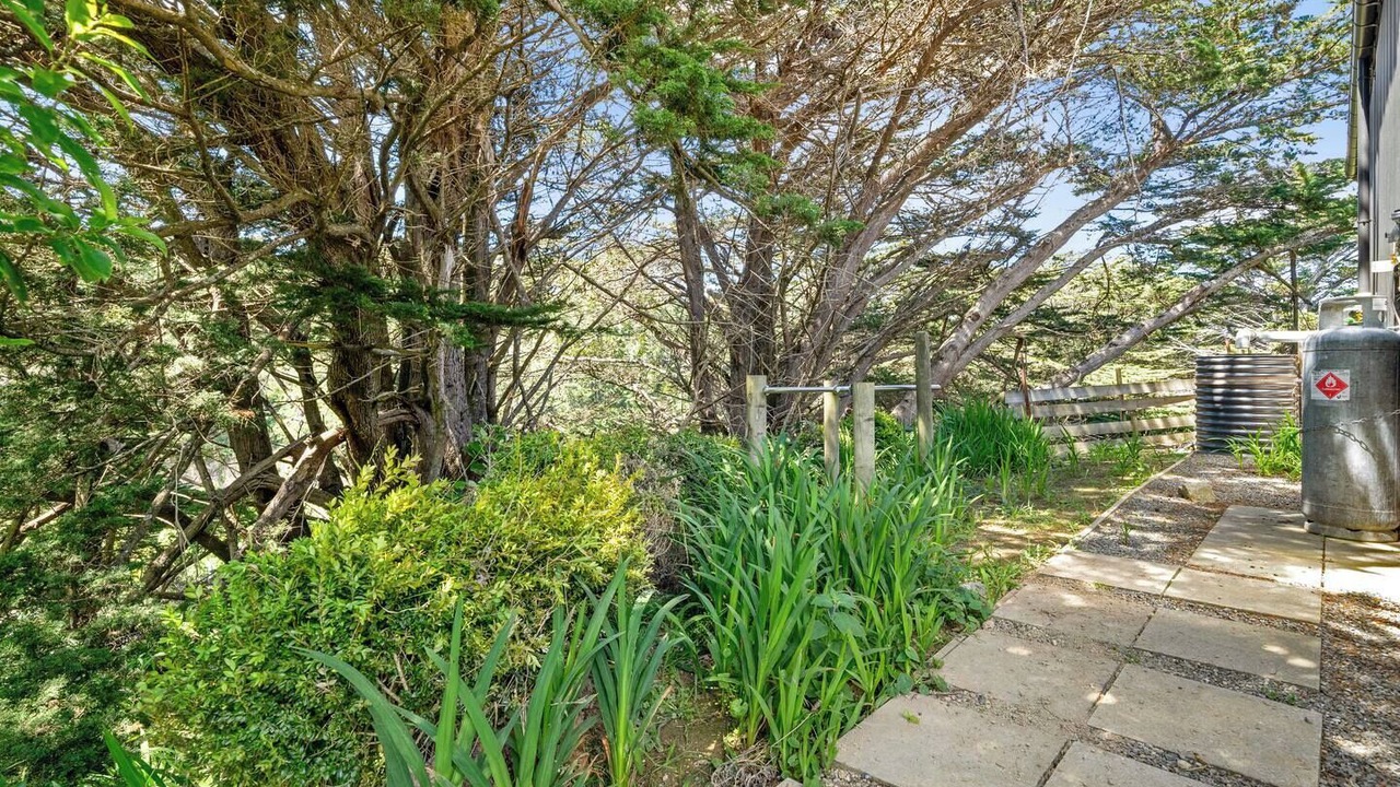 Photo of Others in Tawa