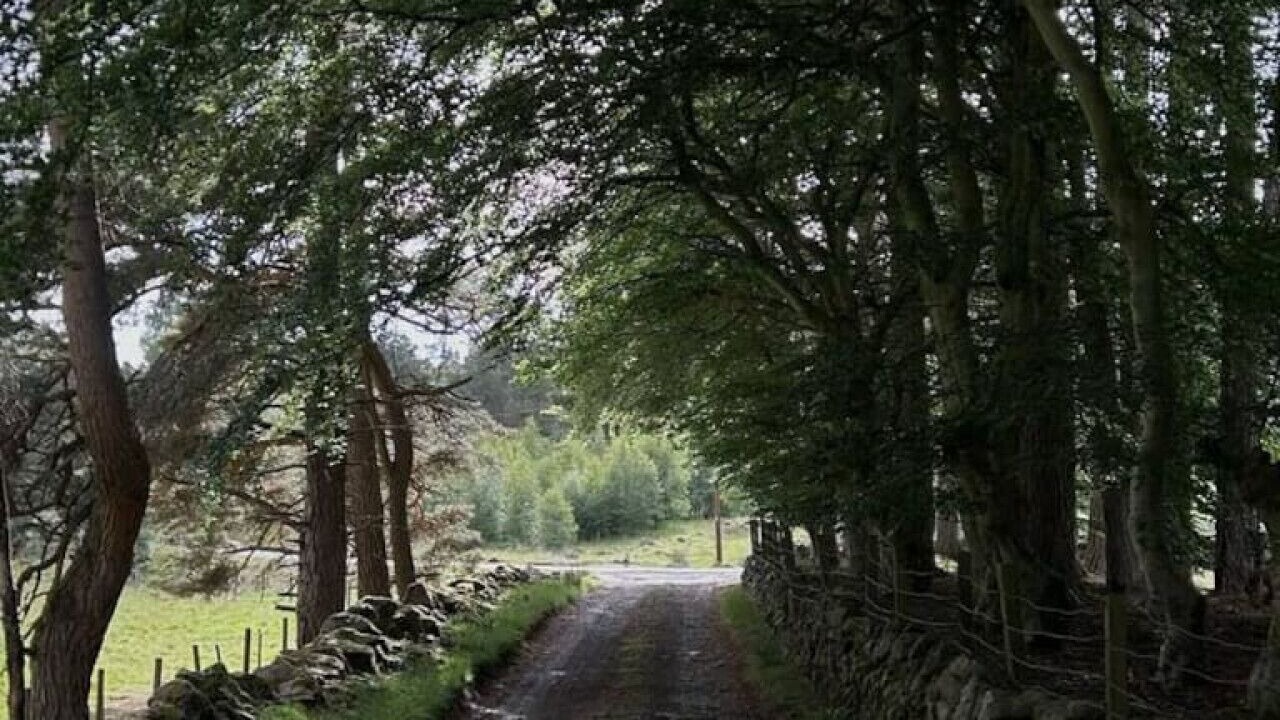 Photo of Others in Ballater