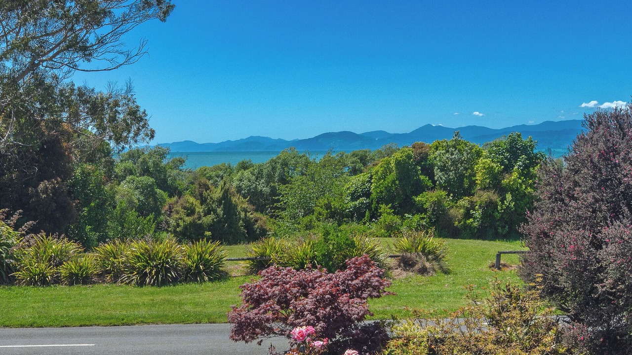 Photo of Others in Tasman