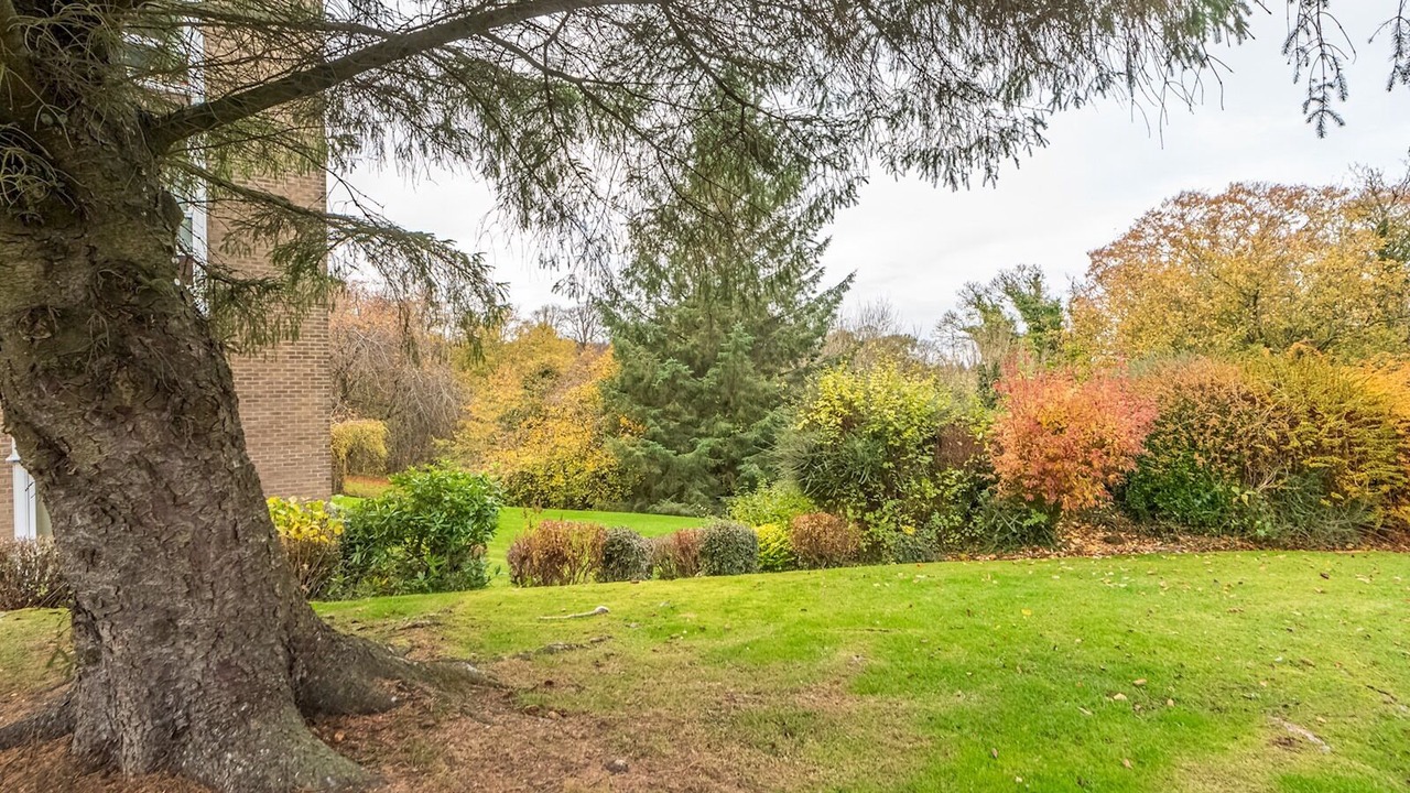 Photo of Outdoor in Cramond Bridge