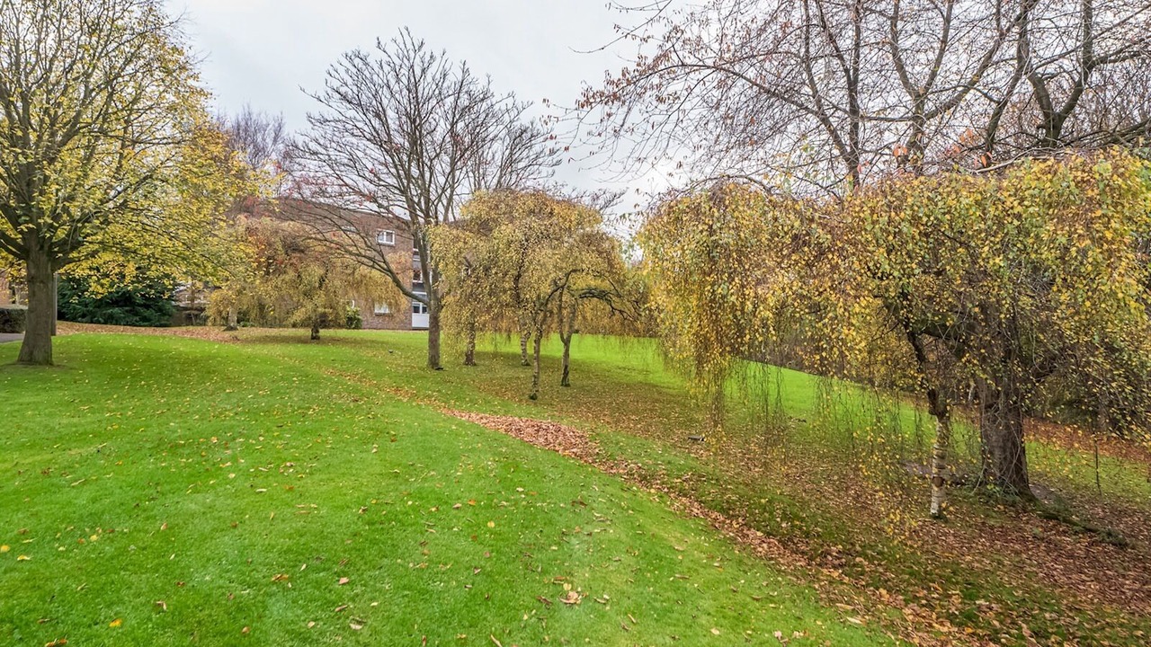 Photo of Outdoor in Cramond Bridge