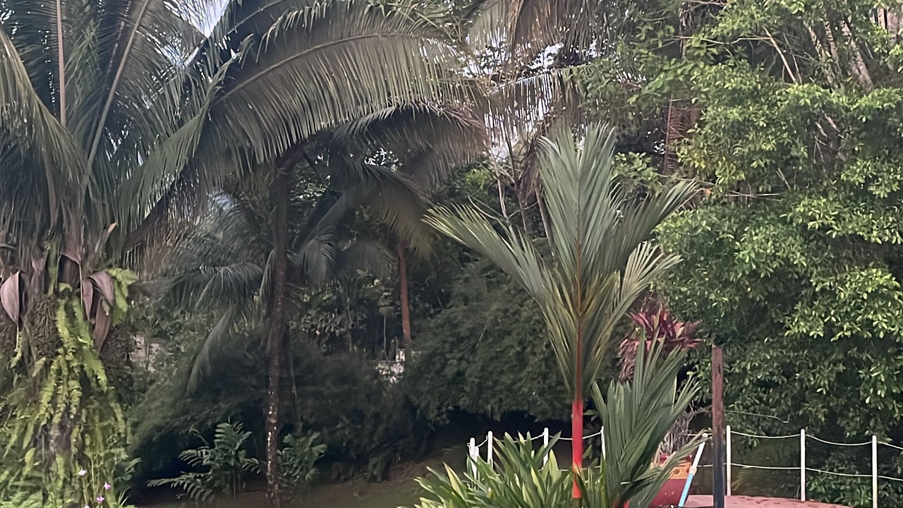 Photo of Outdoor in Playa Tortuga
