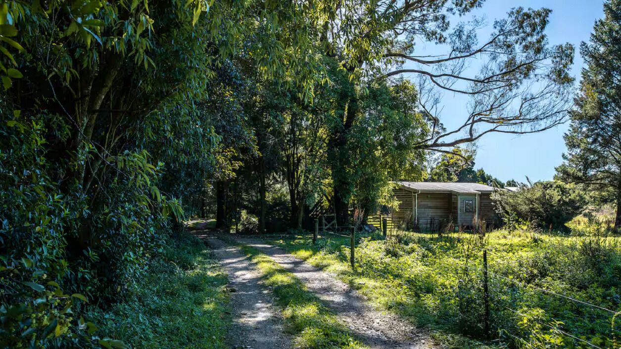 Photo of Outdoor in Parapara