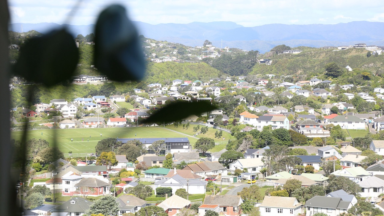 Photo of Others in Johnsonville