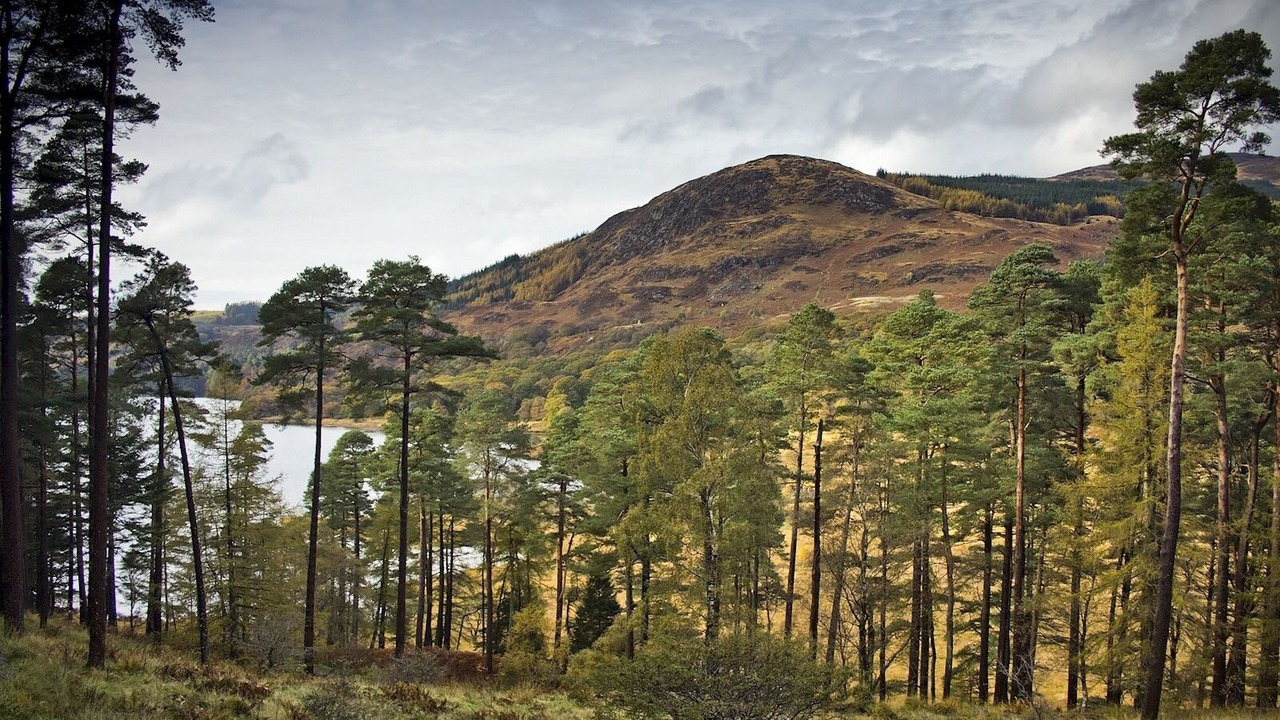 Photo of Others in Wigtown