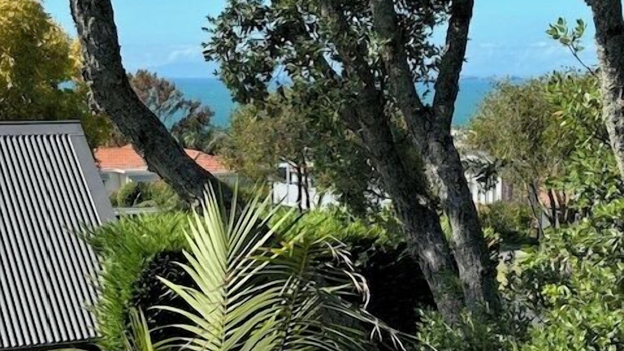 Photo of Patio Balcony in Castor Bay
