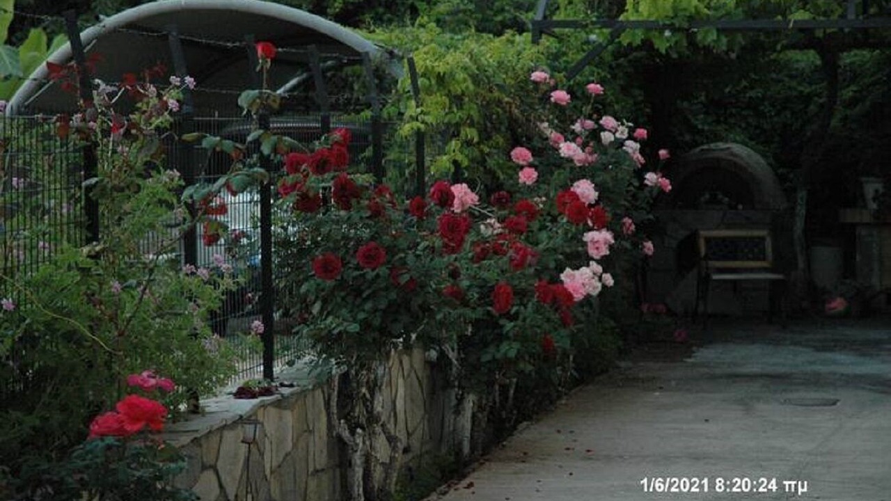 Photo of Outdoor in Patras