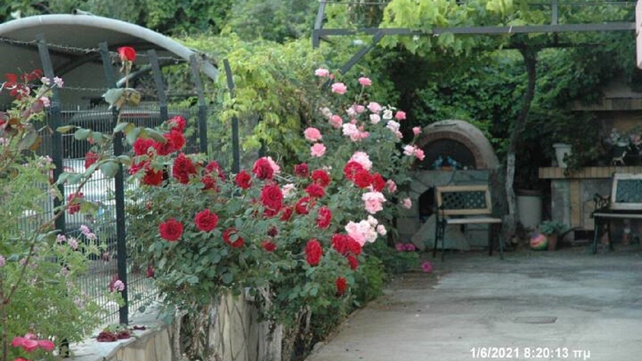 Photo of Outdoor in Patras