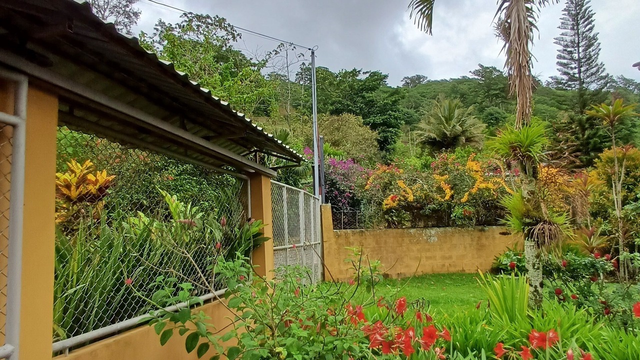 Photo of Outdoor in Orosi