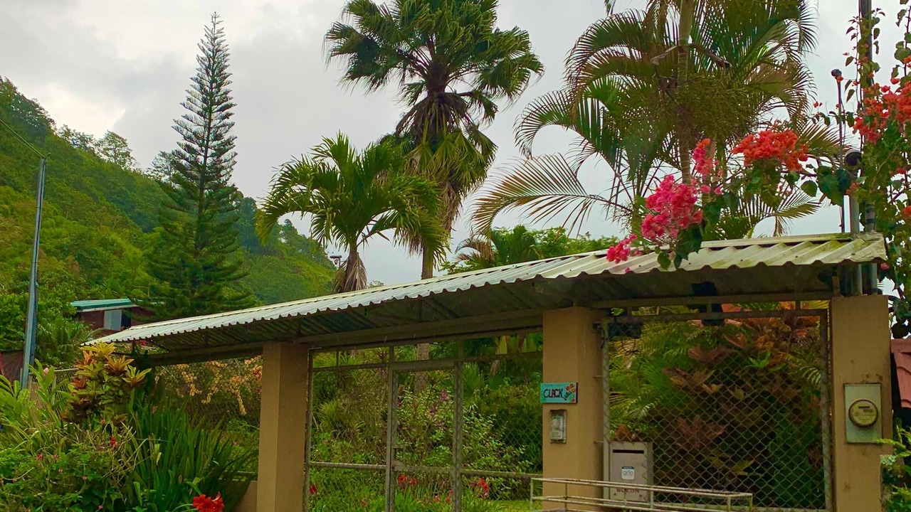 Photo of Outdoor in Orosi
