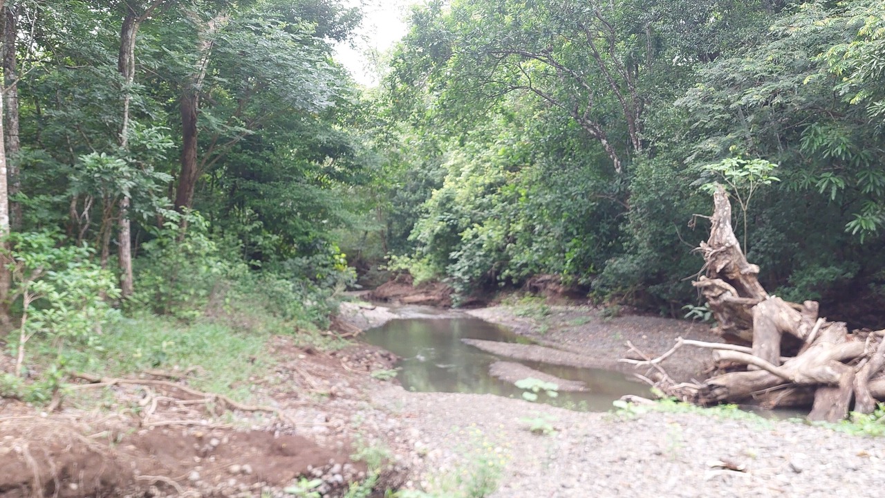 Photo of Others in Nicoya