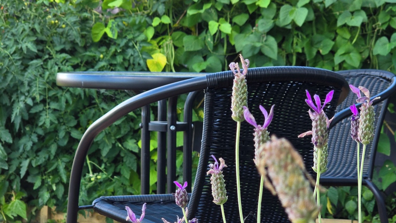 Photo of Outdoor in Hamilton