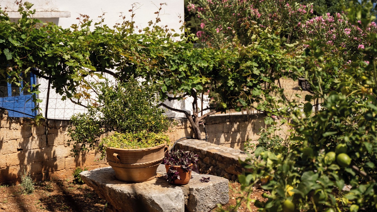 Photo of Outdoor in Agia Roumeli