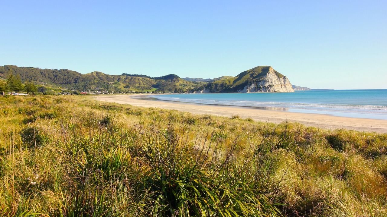 Photo of Others in Mahia