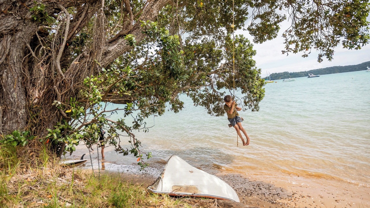 Photo of Others in Parekura Bay