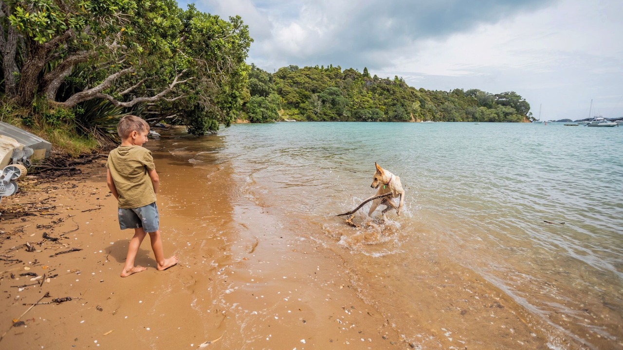 Photo of Others in Parekura Bay