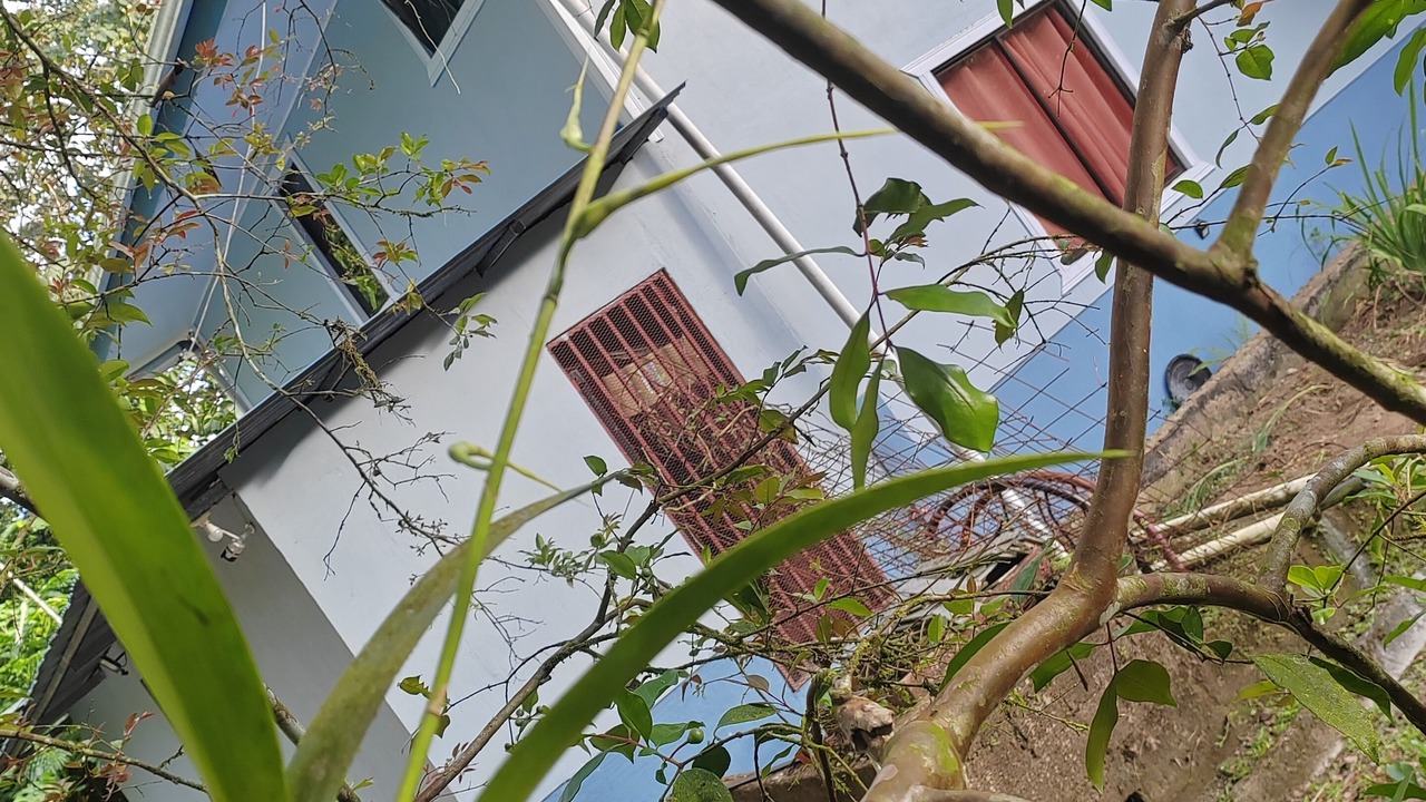 Photo of Outdoor in Golfito