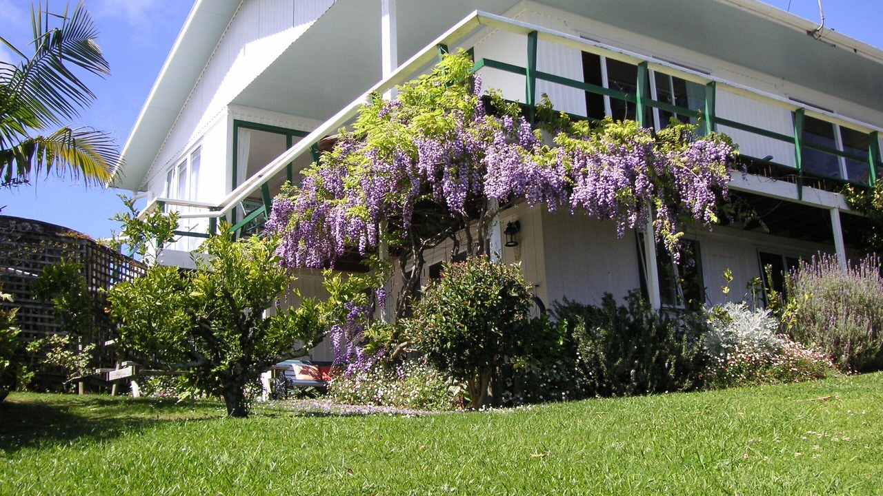 Photo of Outdoor in Okiato