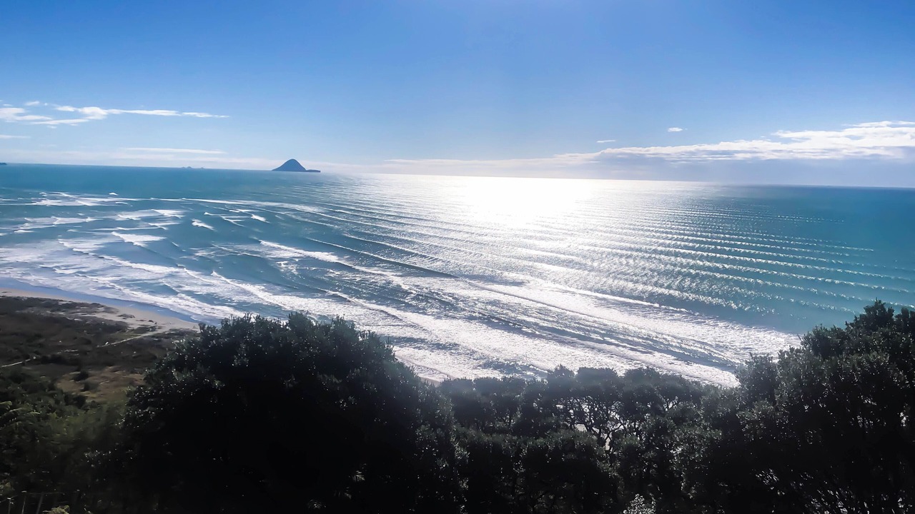 Photo of Others in Tirohanga