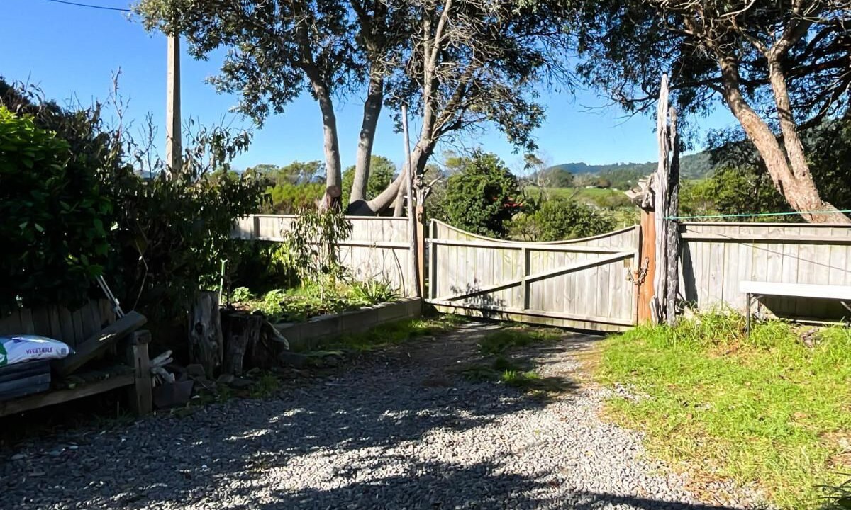 Photo of Outdoor in Tirohanga