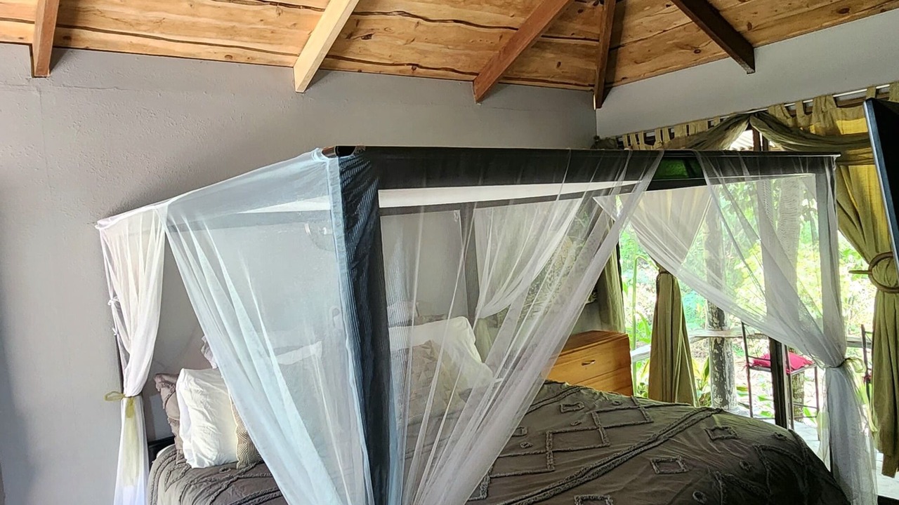 Photo of Bedroom in Paramo