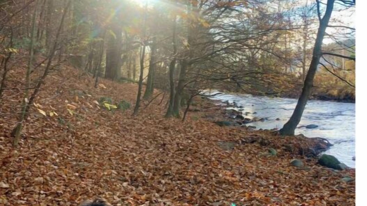 Photo of Others in Innerleithen